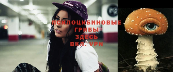 метадон Белокуриха