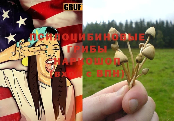 метадон Белокуриха