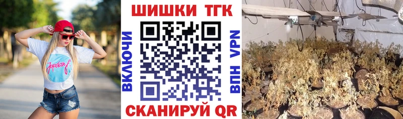 Канабис планчик  где найти наркотики  Макаров 
